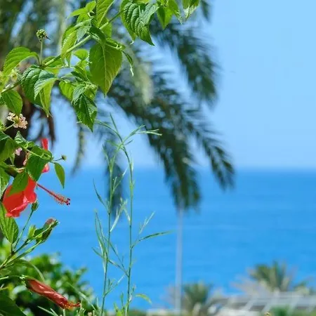 In The Heart Of The Port Of Cabopino Apartment *